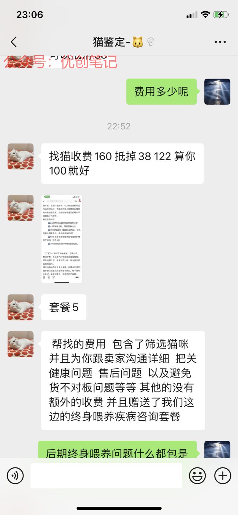 最近打算尝试猫舍这条路…#情报-搞钱线报📢论坛-网创交流-优创圈